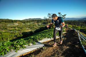 BIB: 
                            <button type="button" onclick="openModal(19111332)" class="btn btn-primary btn-sm float-right btn-popup" data-toggle="modal" data-target=".modal-high-quality">
                        <i class="fas fa-shopping-cart"></i> Add to Cart
                    </button>
                                            <button type="button" onclick="isThisMe(19111332, true)" class="btn btn-success btn-sm float-right btn-popup btn-isme hidden" data-toggle="tooltip" data-placement="bottom" title="นี่คือรูปของคุณใช่ไหม คลิกที่นี่เพื่อเอาเข้าอัลบั้ม">
                        <i class="fas fa-plus"></i> Add to album
                    </button>
                    <button type="button" onclick="isThisMe(19111332, false)" class="btn btn-warning btn-sm float-right btn-popup btn-isnotme hidden">
                        <i class="fas fa-ban"></i> Remove from album
                    </button>